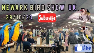 NEWARK Bird Show UK  29/10/23.  Part { 2 }             نمایشگاه پرندگان زینتی انگلیس سال ۲۰۲۳ قسمت ۲