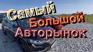 Поиск Авто на самом большом рынке Украины