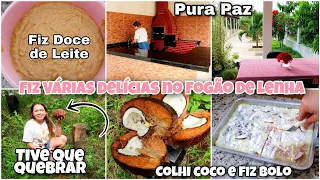 Fiz Várias Delícias no Fogão de lenha, Colhi coco e fiz Bolo, Doce de Leite e Almoço + Vida na Roça