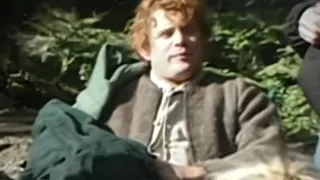 Sam Wisegamge Get injured - The Lord of the rings