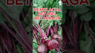 Los Problemas del Jugo de Remolacha