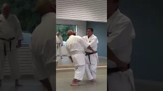 Bassai Dai slow application #karate #martialart #shotokankarate #mma #selfdefense #kumite