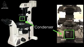Microscope alignment for optimal image quality: Koehler Illumination