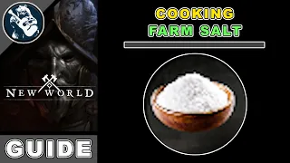 How to Get Salt in New World | 17 Locations | Cooking Crafting Recipes Guide