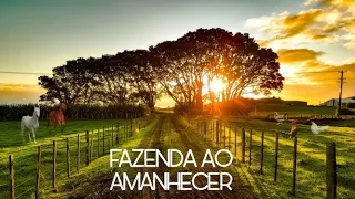 Amanhecer na Fazenda - Som do Ambiente Rural 🌱