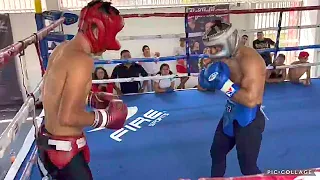 PITBULL CRUZ SPARRING THROWING BOMBS, HOOKS, TRAINING FOR GAMBOA IN SPENCE VS UGAS UNDERCARD