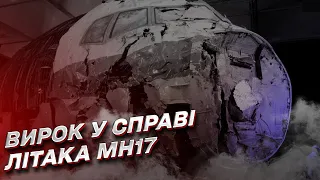 Готовий вирок за збиття росіянами над Україною літака рейсу MH17