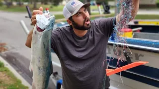 LAKE HURON TROLLING 🔥🎣😲😲 You won't believe what happened #fishing #michigan #2022 #salmon #steelhead