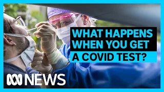 What happens when you get a COVID test? | ABC News