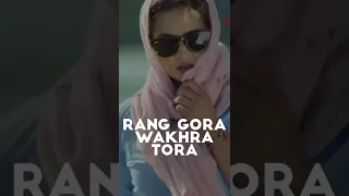 Rang Gora (Vertical Video) | Akhil | Bob | Sukh Sanghera | Latest Punjabi Songs 2022 | Speed Records