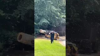 Worker moving a wooden stump gets swarmed by Bees and takes off running