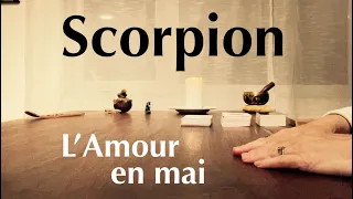 Scorpion - L’Amour véritable se dessine à l’horizon - Mai 2024 - Tirage de tarot