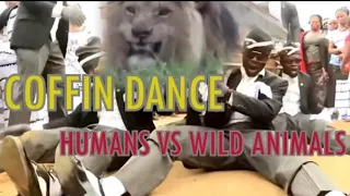 Coffin Dance Meme: HUMANS VS WILD ANIMALS Meme Compilation