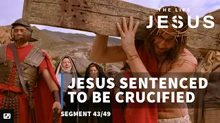 Jesus is Sentenced to be Crucified | The Life of Jesus | #43
