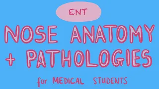 ENT - Nose Anatomy + Pathologies for Medical Students