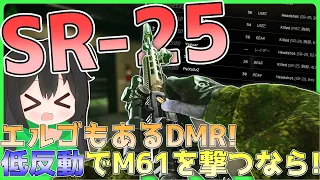 【タルコフ】エルゴもあるDMR！低反動でM61を撃つならSR-25！/【ゆっくり実況/Escape from Tarkov】