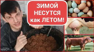 ДРОЖЖЕВАНИЕ по рецепту ЛУЧШЕГО ЗООТЕХНИКА СТРАНЫ// ДЛЯ КУР, УДОЕВ и ПРИВЕСОВ