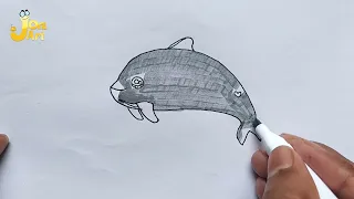 How to Draw How to Draw Vaquita Porpoise | #DrawingVaquitaPorpoise #Drawing  #Draw