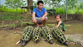 Bring the pig to the market sell-Prepare wood to build home a kitchen/Xuan Truong