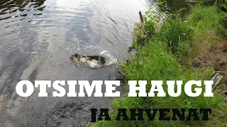 Kalapüük väikejärvelt - otsime haugi ja ahvenat