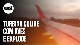 Vídeo mostra explosão em turbina de avião após colisão com aves no Paraná