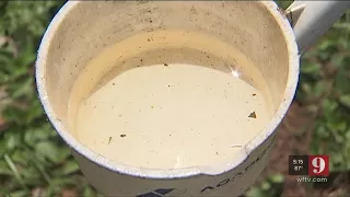 Video: Heightened mosquito risk after Hurricane Irma