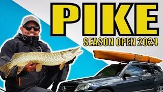 Pike Season Opening  2024 - Fishing first pikes of season with kayak