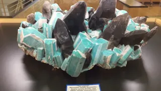 Our Visit to the School of Mines Geology Museum