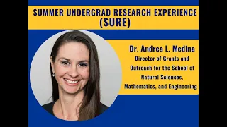 SURE - Summer Undergraduate Research Experience