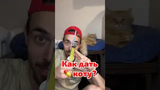 Как дать коту таблетку?