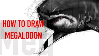 How to draw shark | megalodon | procreate | fish drawing | digital art