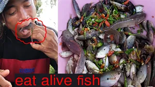 EATING ALIVE FISH OH! MY GOD! | This all of man eating alive fish look so delicious.