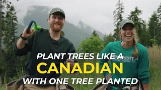 How to Plant Trees like a Canadian | One Tree Planted