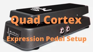 Quad Cortex Expression Pedal Setup