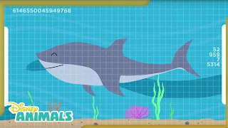 Sharks and Stingrays! 🦈 | Disney Animals | Disney Junior