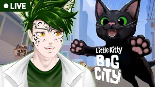 UM GATINHO NA CIDADE GRANDE - Little Kitty, Big City