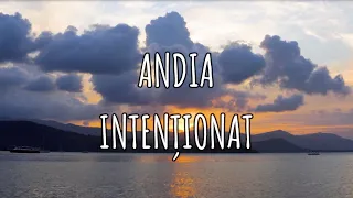 Andia - Intenționat (Versuri) | Music Hour