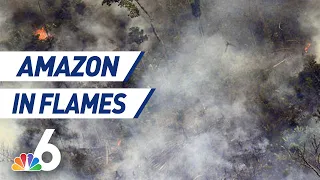 Record Number of Fires Tearing Through The Amazon - But Why? | The Breakdown