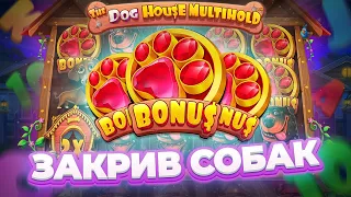 Заніс 290 000 гривень в Dog house multihold! Закрив собак!