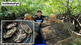 "BUBU TRAP" Surigao Traditional Crab Trap Catch Big Mud Crabs | Catch N' Cook