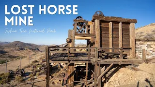 Lost Horse Mine Hike in Joshua Tree National Park