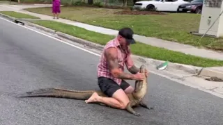 Wild video shows Florida man using bare hands and feet to remove 8-foot gator from busy road