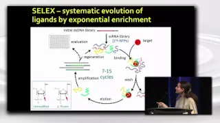 Aptamers and SELEX: The Past, The Present, and The Future
