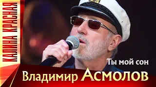 Владимир Асмолов – Ты мой сон. Калина Красная КЗ Измайлово 19.11.2022 г.