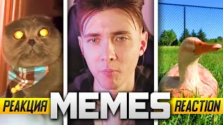 ХЕСУС СМОТРИТ МЕМЫ | REACTION TO UNUSUAL MEMES COMPILATION V180 | РЕАКЦИЯ