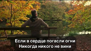 Наталия Литвиненко - Никогда никого не вини текст