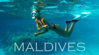 Amazing snorkeling in Maldives (2019) 4k