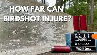 How far is birdshot dangerous?