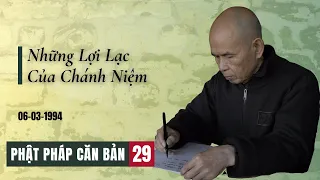 Những Lợi Lạc của Chánh Niệm[Phật Pháp Căn Bản 29] | TS Thích Nhất Hạnh(6-3-1994, XH, LM)