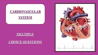 Cardiovascular System multiple choice questions / MCQ on Heart / Circulatory system / PHARMACIST